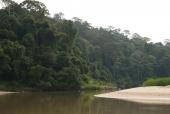 Taman Negara floden