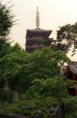 Pagoden ved Asakusa Kannon templet i Tokyo