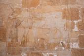 Hatshepsut som lille drikker mælk ved kogudinden Hathor
