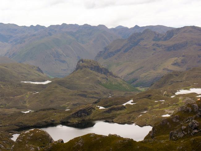 På Andesbjergenes højderyg i Cajas nationalpark På Andesbjergenes højderyg i Cajas nationalpark