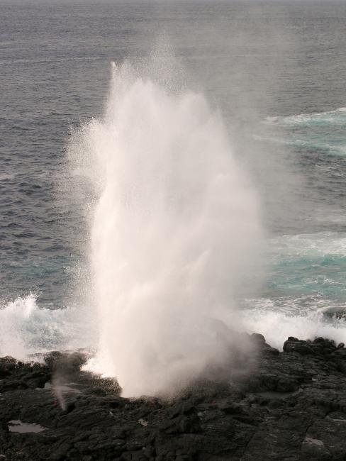Vandet sprøjter op gennem et "Blow Hole" på Isla Espanola når bølgerne slår ind mod klipperne Vandet sprøjter op gennem et "Blow Hole" på Isla Espanola når bølgerne slår ind mod klipperne